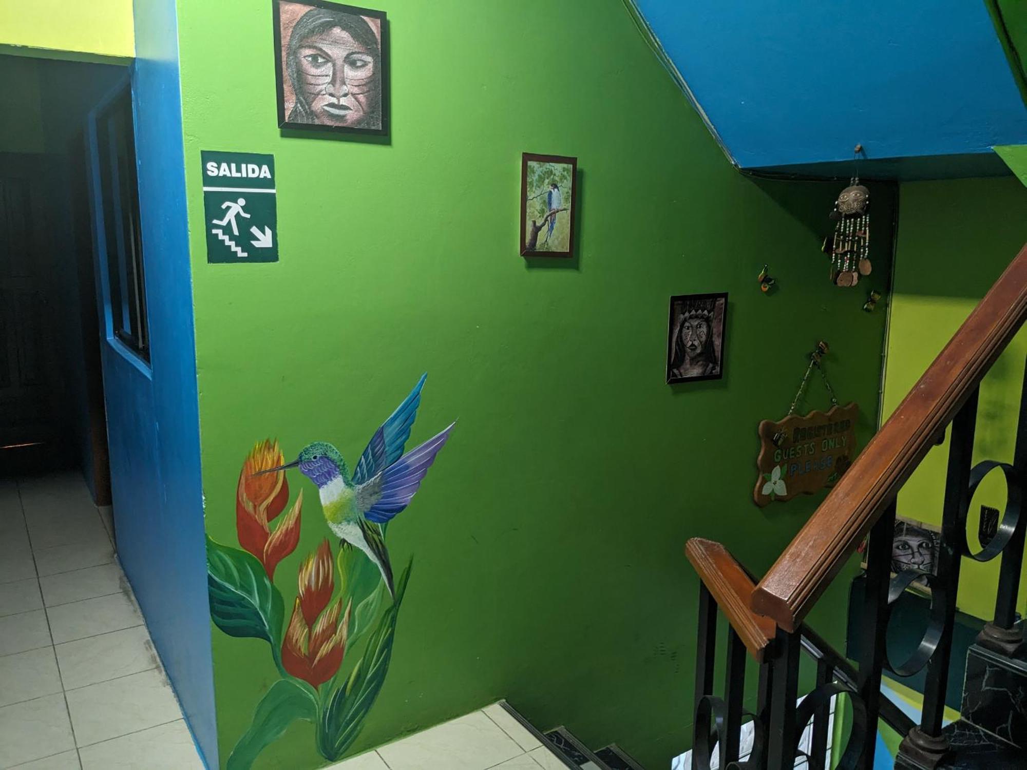 Amazon Dream Hostel With Ac And Starlink 이키토스 외부 사진